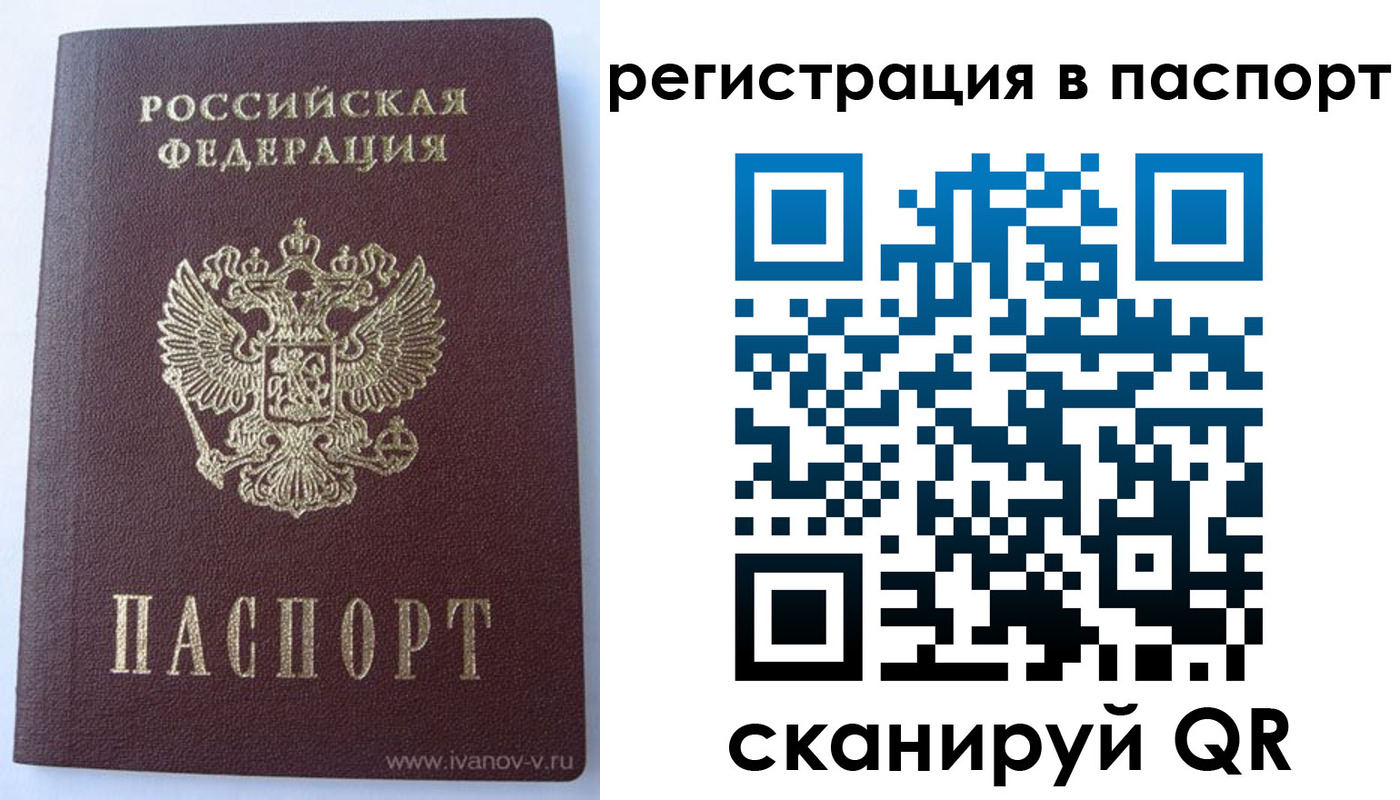 прописка поиск в Павловском Посаде